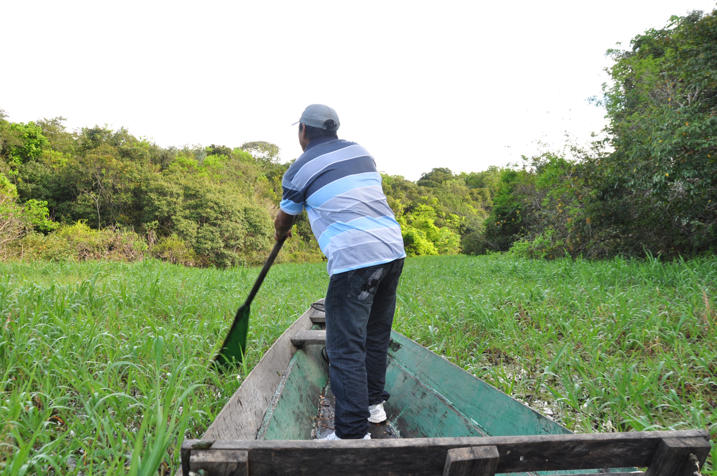 Brazylia - Manaus - Amazonka